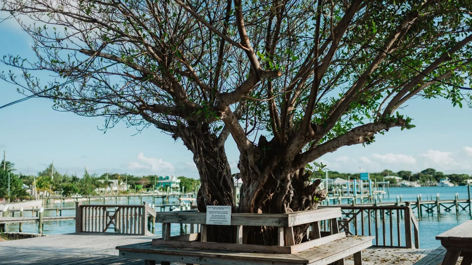 Guana Beach Inn Great Guana Cay