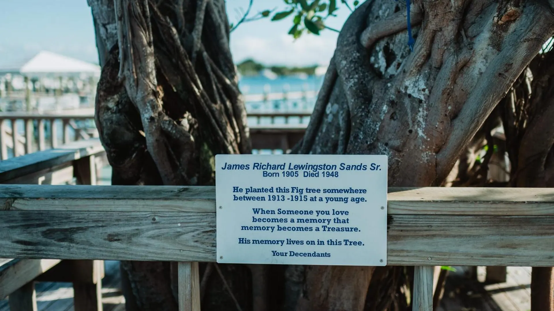 Guana Beach Inn Great Guana Cay